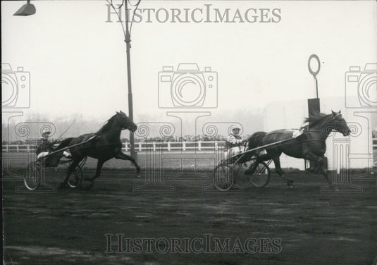 1953 Press Photo "Permit" & "Try Hussey" Arrive Finish American Prix Line-Historic Images