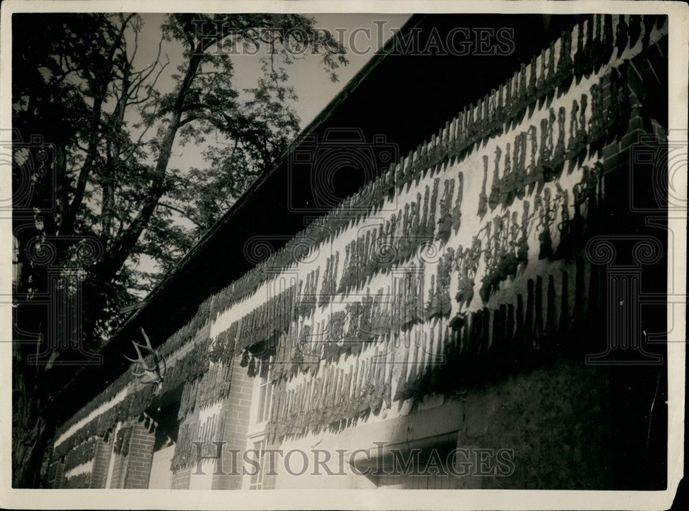 Press Photo Hunting Trophies Hang in Chateau Yard for Saint Hubert Hunt-Historic Images