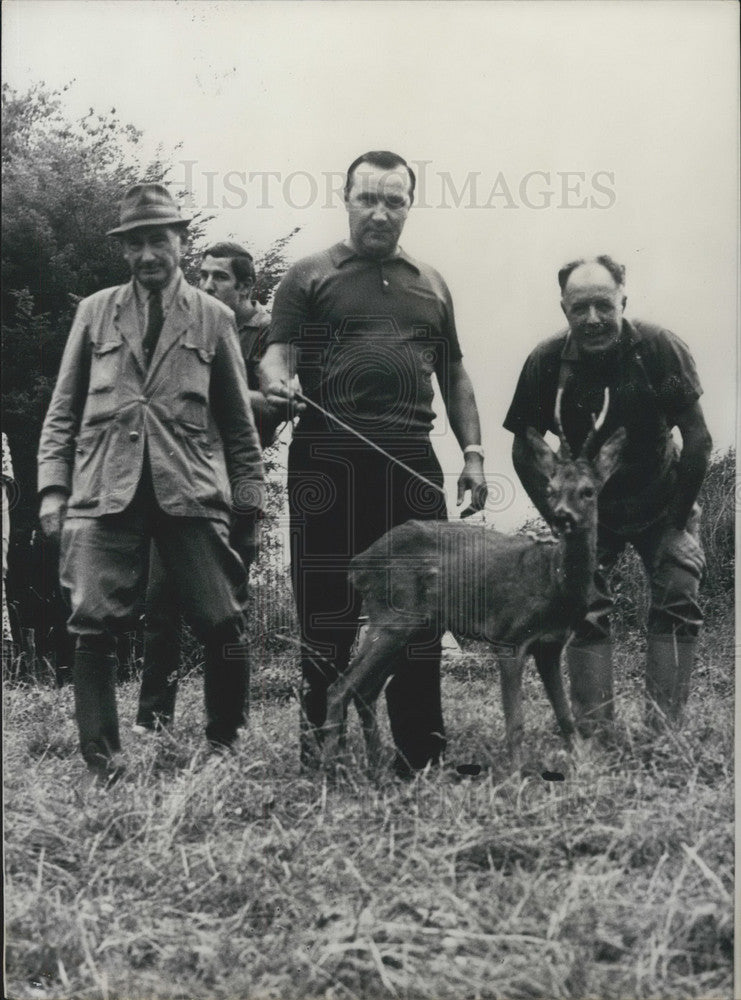 1970 Press Photo Men Release Bambi the Fawn Hit by Car Over a Month Ago - Historic Images