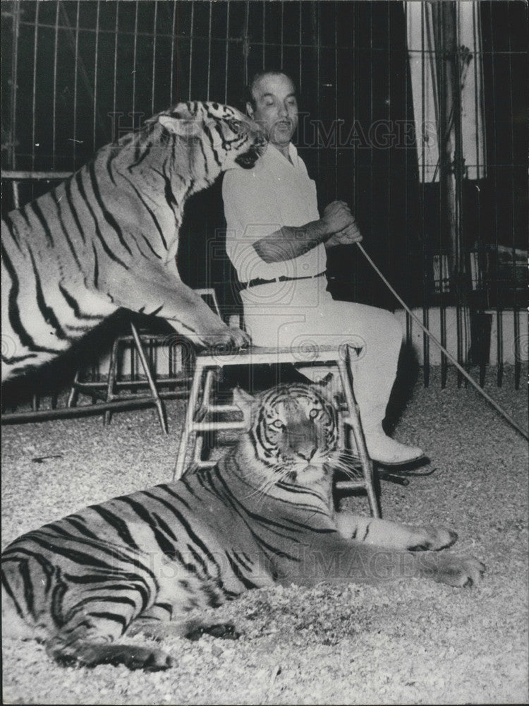 1964 Press Photo Joseph Von Been with Tigers - Historic Images