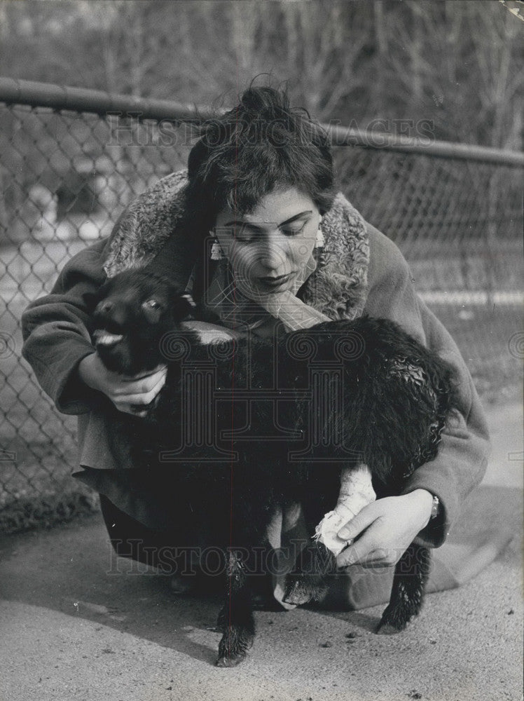 1956, Munich Zoo Animal Baby. - Historic Images