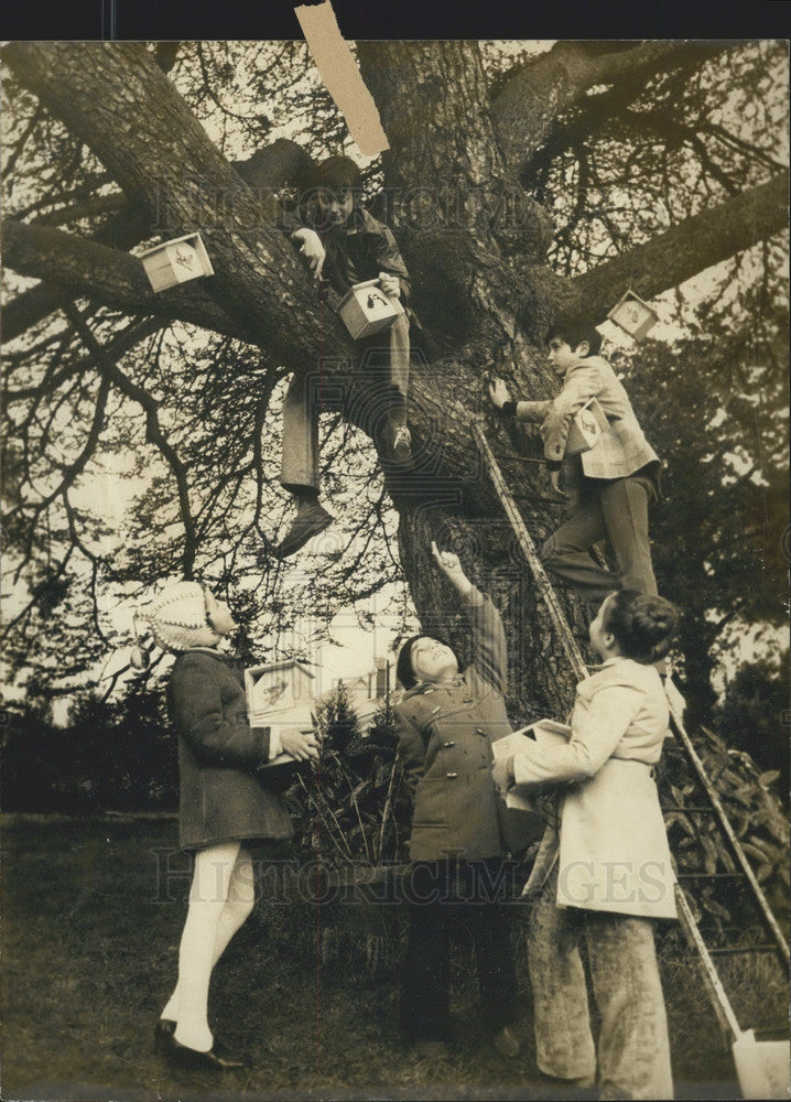 1974, Children Place Bird Houses in Tree in Chambourcy - Historic Images