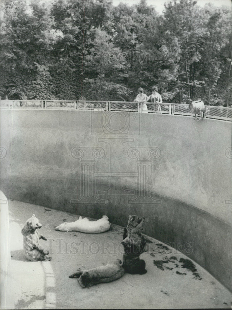 1967, Chateau de Thoiry, Grounds, Animals Now Open to Public - Historic Images