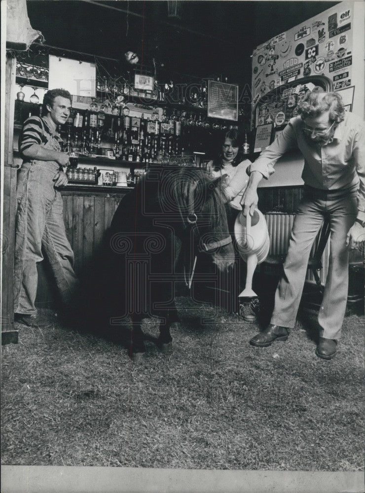 1982 Press Photo Owner of Cafe & Pony Gardening as Clients Look On - Historic Images