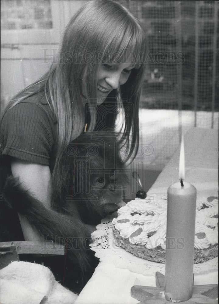 1968, Orangutan Baby Lea at Wilhelmina Zoo, Stuttgart. First Birthday - Historic Images