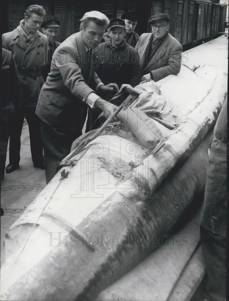 1956, Man spends 65 days alone in Atlantic Ocean. Germany. - Historic Images