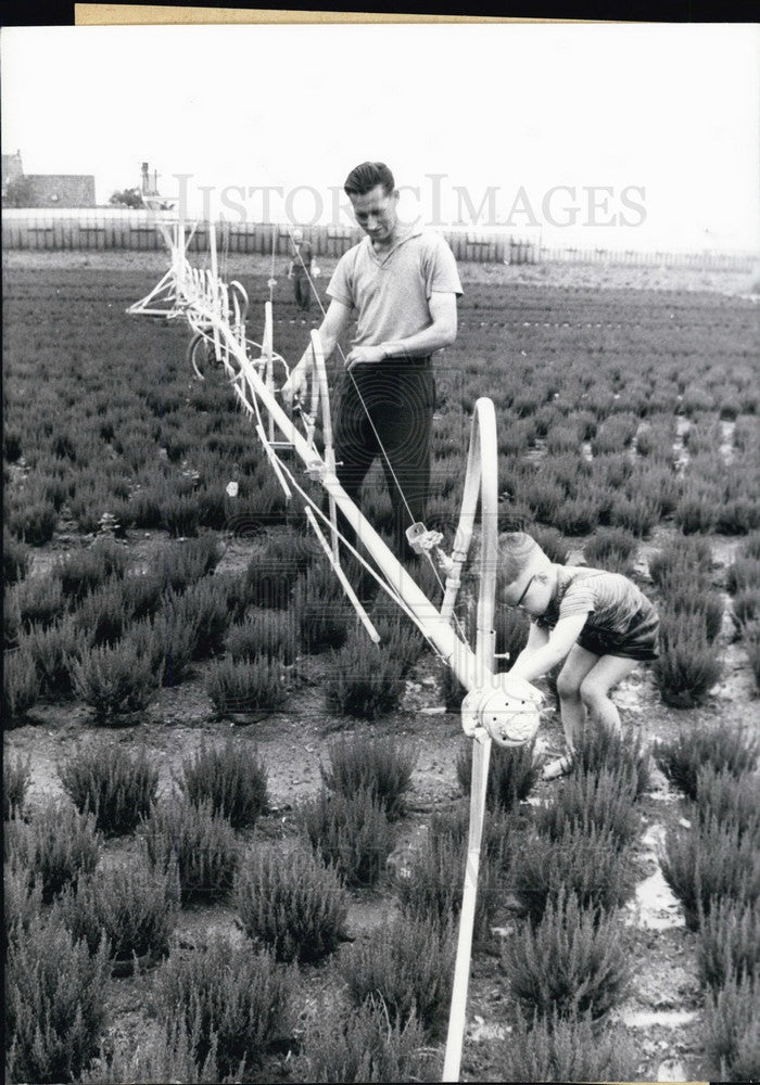 1965 Press Photo German Gardener. Water Distribution System. Lüllingen. - Historic Images