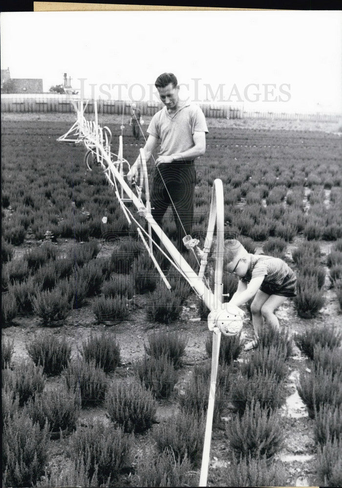 1965 Press Photo German Gardener. Water Distribution System. Lüllingen. - Historic Images