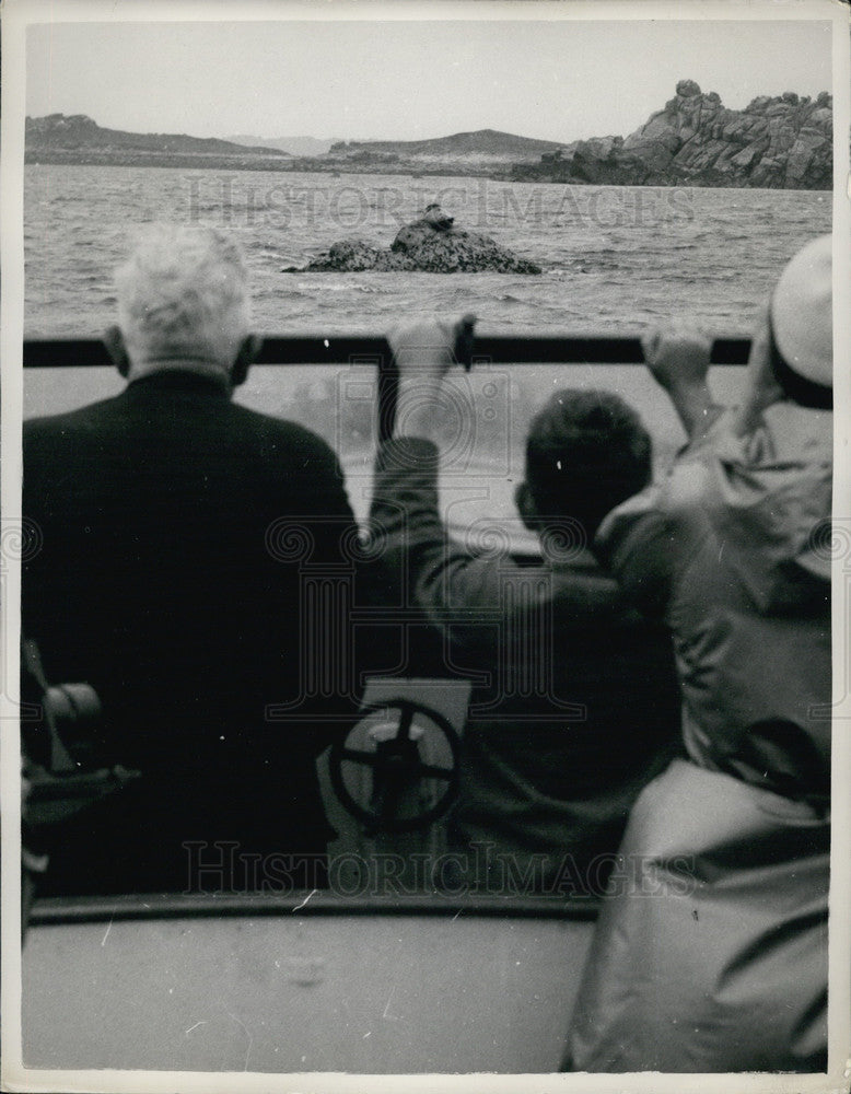 1954 Press Photo Sally the Seal, RSPCA-Historic Images