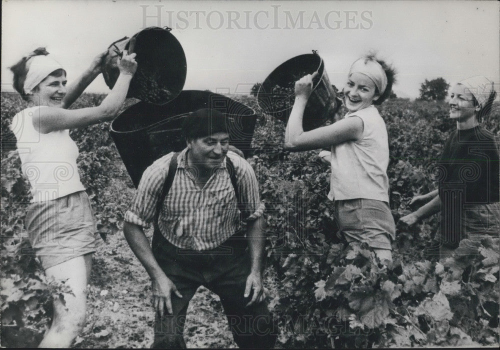 1959, Australians in Roussillon - Historic Images
