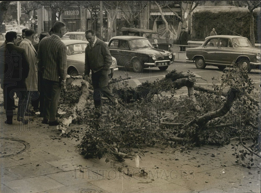 1962, Dramatic Struggle in Algers - Historic Images