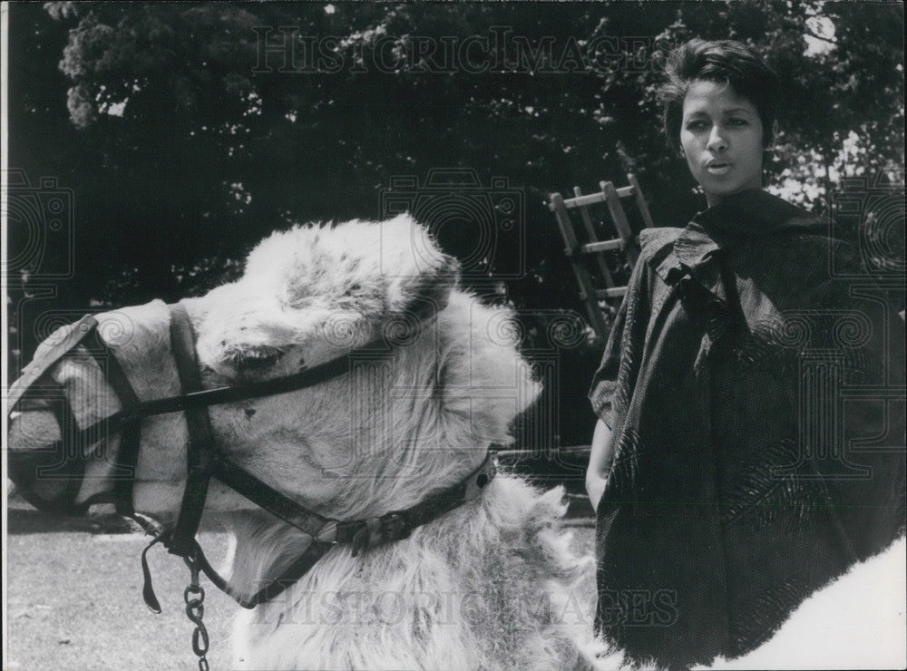 1969, Cathy Rosier with her Camel on the Set of &quot;Gedeon&quot; - Historic Images