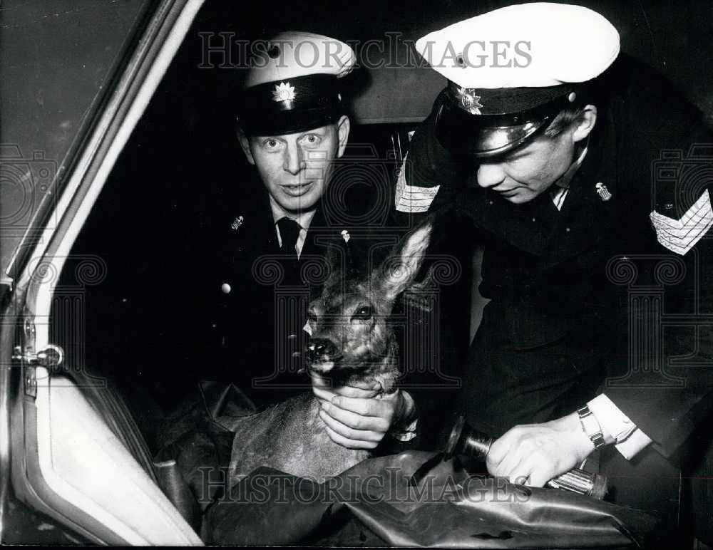 1956 Press Photo Police Officers with Deer from Autobahn - Historic Images