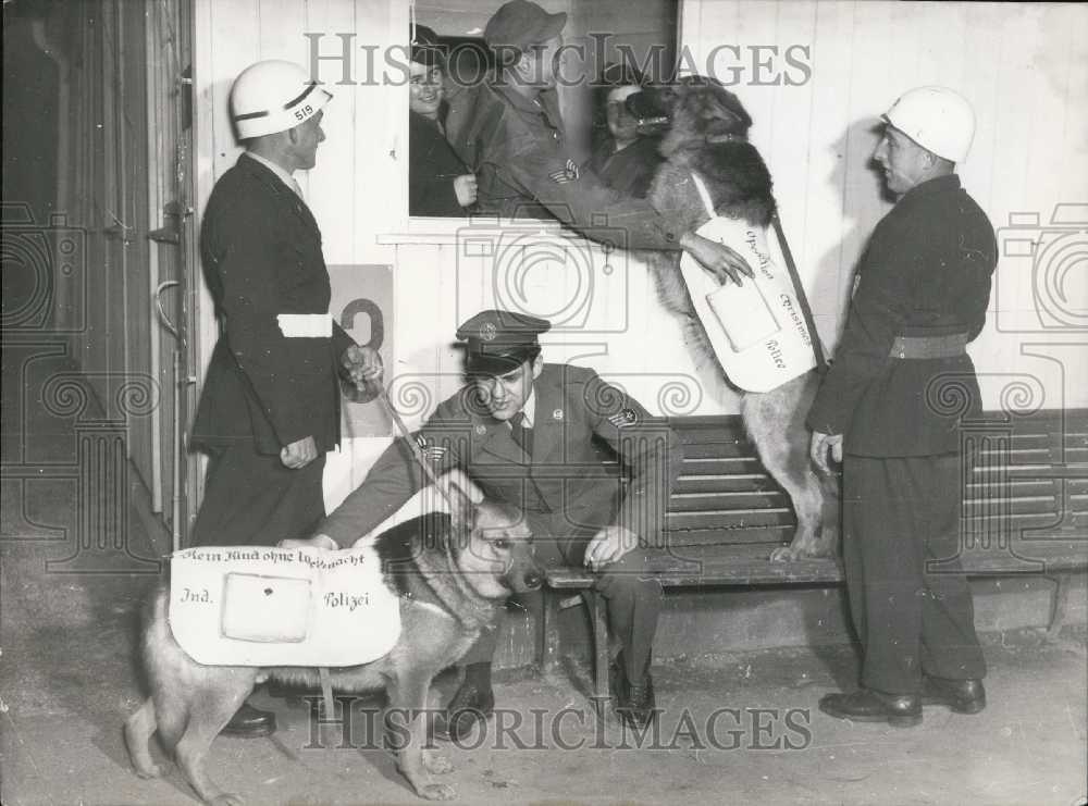 1952 Press Photo Police Service Dogs Help Raise Money for Orphans. Germany. - Historic Images
