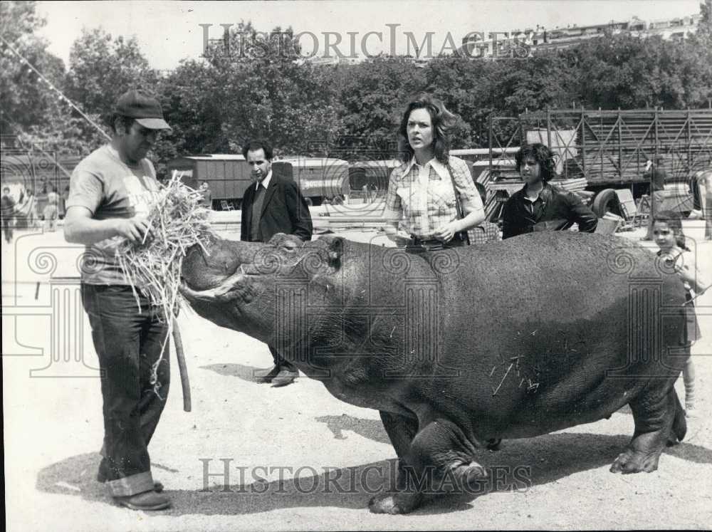 1975 Hippopotamus Has Snack With Actress Evelyne Buyle - Historic Images