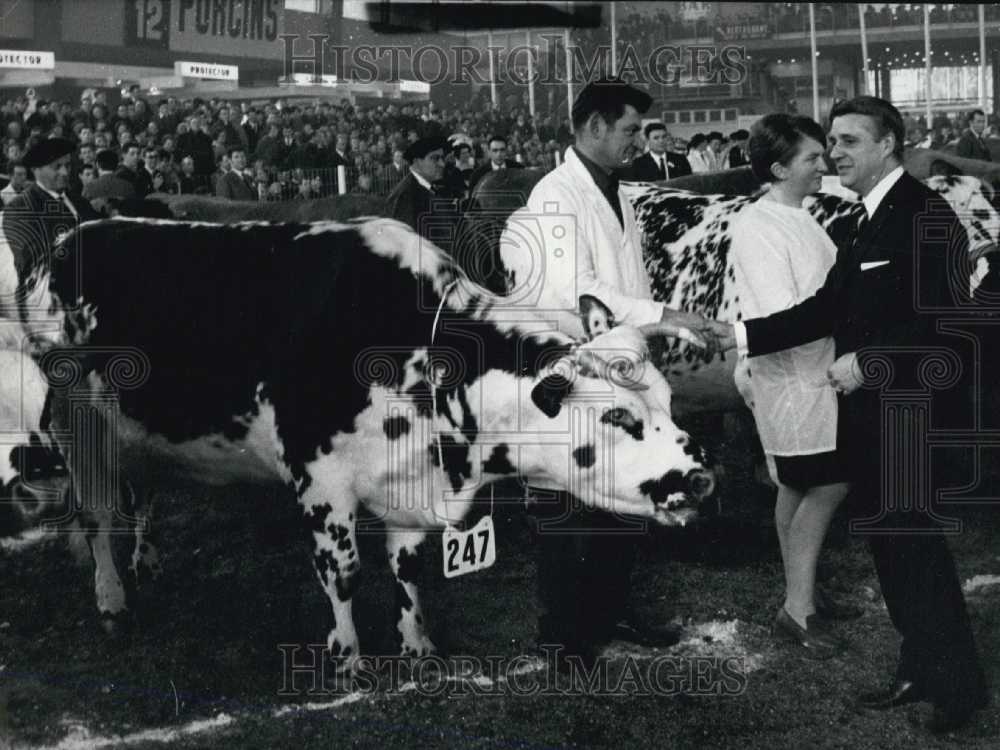 1969, Farming Exhibition: Presentation of Award Winning Animals - Historic Images