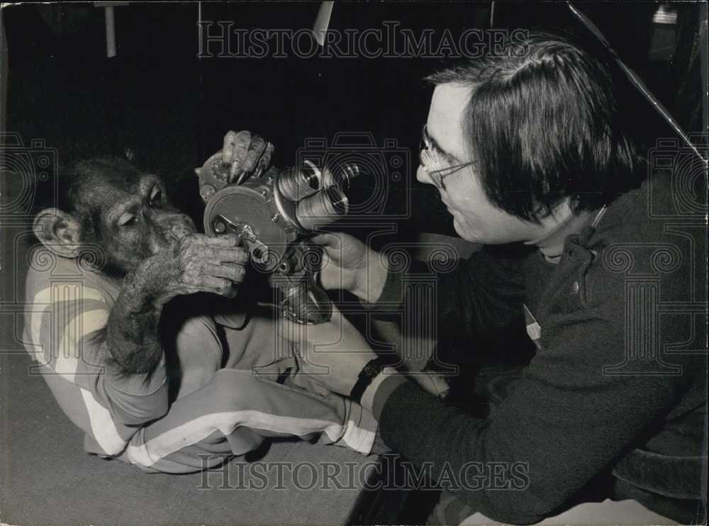 1971 Press Photo A Chimpanzee Starts Filming-Historic Images