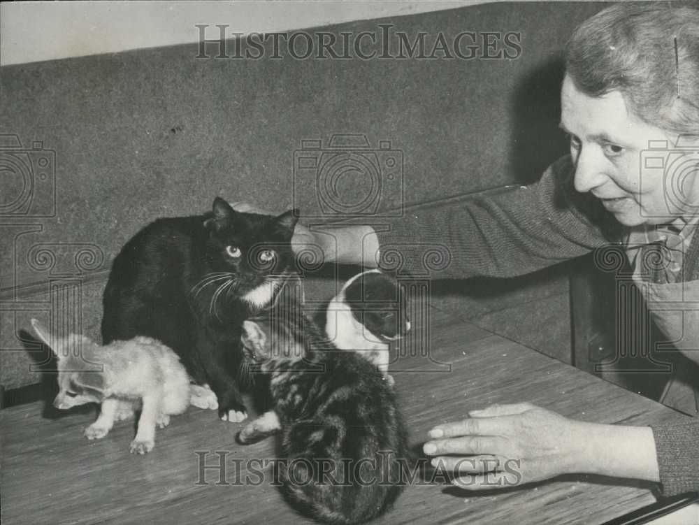 1965 Press Photo Animals Live in Harmony - Historic Images