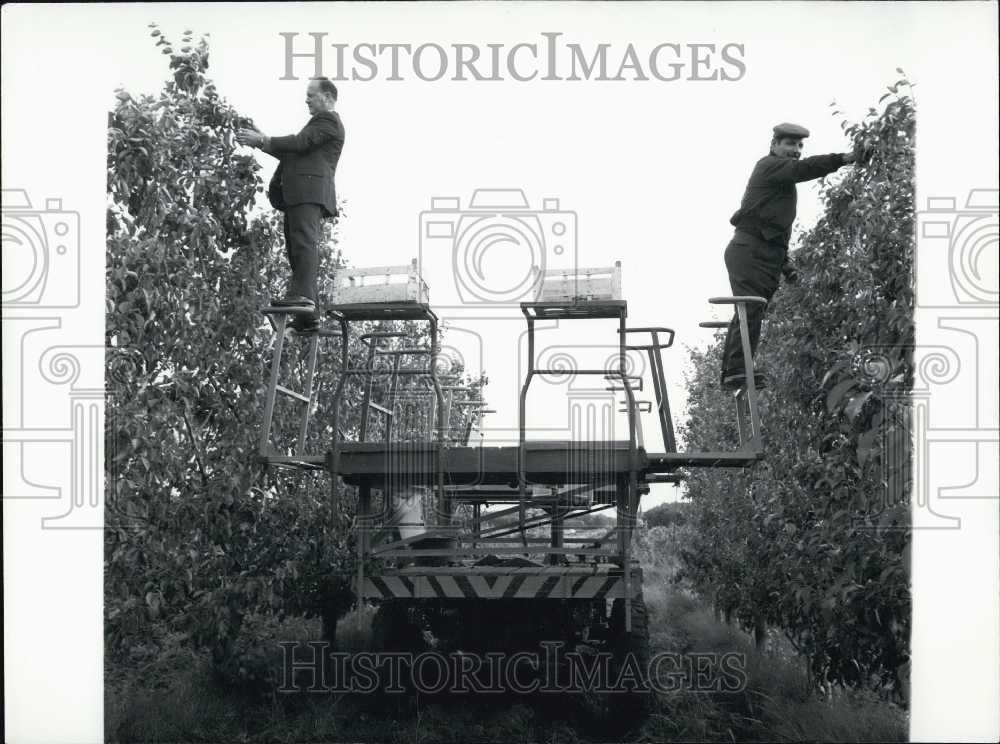 1969 Machine Makes Harvesting Simpler - Historic Images