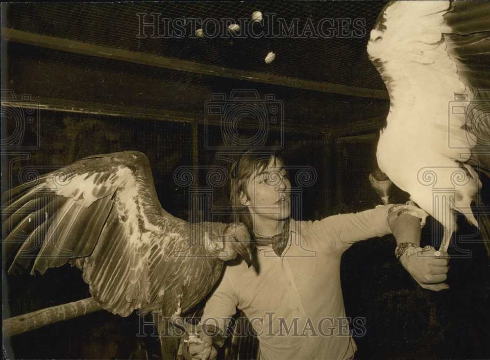 1973 Press Photo Vultures and Their Trainer Alain Bougrain-Dubourg-Historic Images