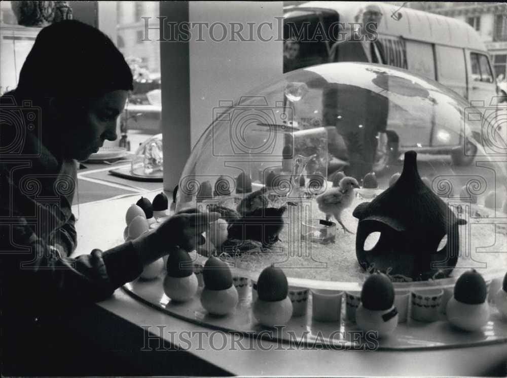 1972 Press Photo Chicks for Sale in Paris Shops to Celebrate Easter-Historic Images