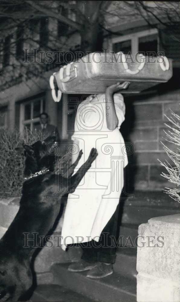 Press Photo Sheepdog Jumps on Woman with Case Full of Weisswurst. Germany. - Historic Images