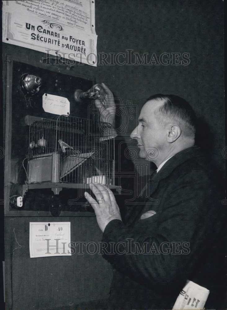 Press Photo Autumn exposition reveals the new "canary" home security system. - Historic Images
