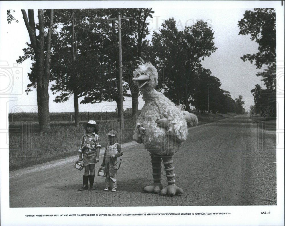 1985 Press Photo Alyson Court &amp; Benjamin Barrett Join Big Bird - Historic Images