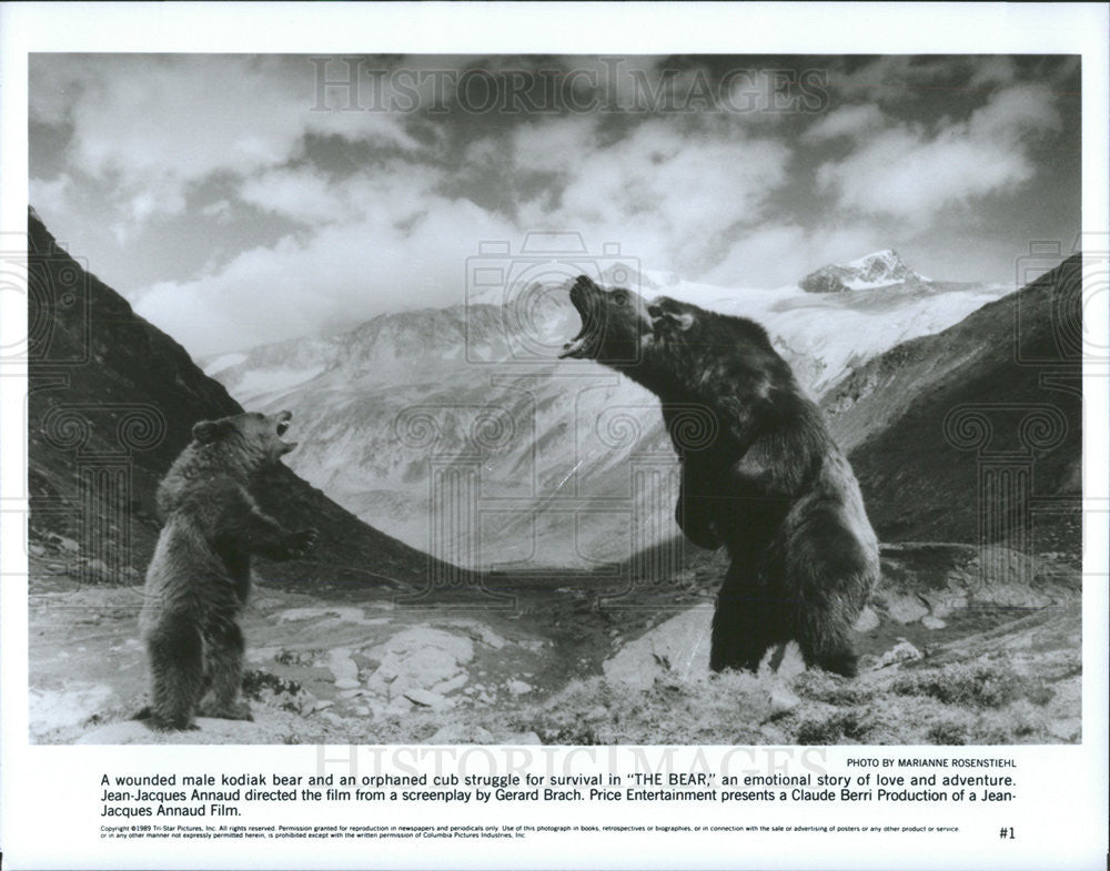 1989 Press Photo Kodiak Bear Orphan Cub Survival Story Adventure Film Movie - Historic Images