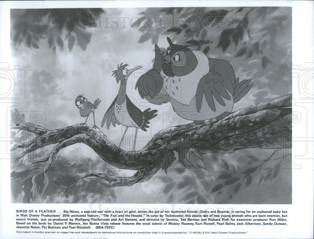 1981 Press Photo Disney Animation &quot;The Fox And The Hound&quot; - Historic Images