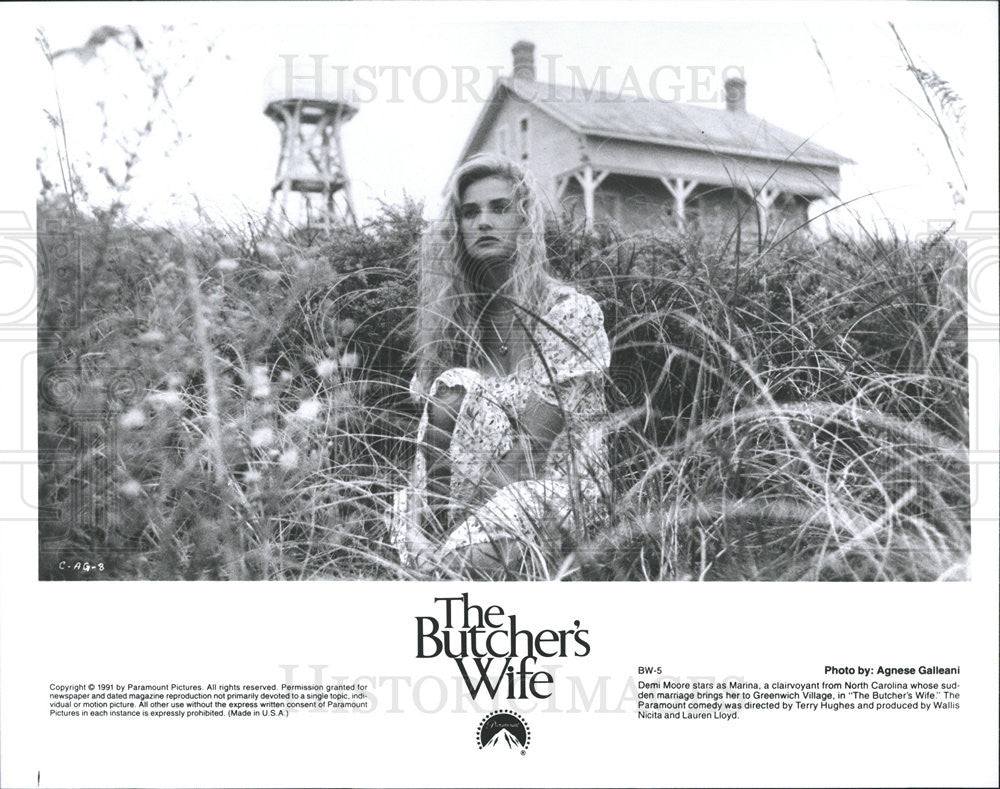 1991 Press Photo Demi Moore Stars In &quot;The Butcher&#39;s Wife&#39; - Historic Images