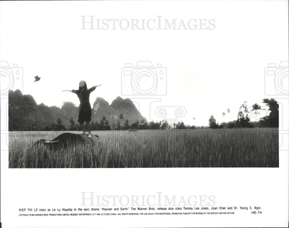 1993 Press Photo Hiep Thi Le stars in &quot;Heaven And Earth&quot; - Historic Images