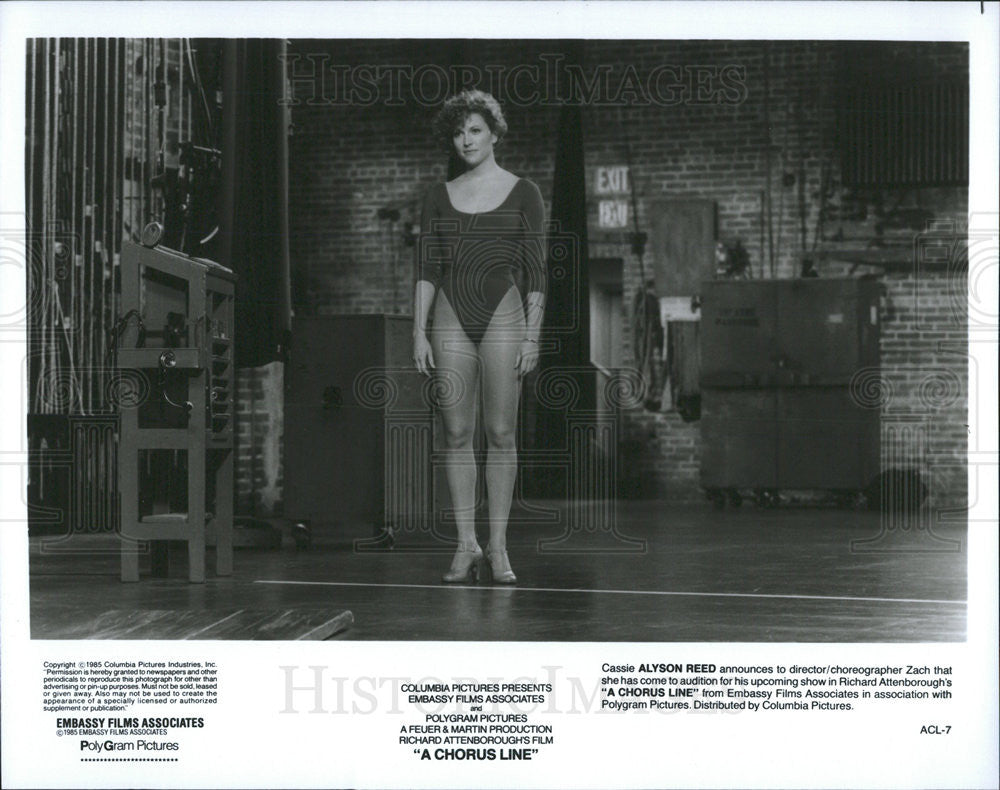 Alyson Reed Stars As Cassie In A Chorus Line 1985 vintage promo photo ...
