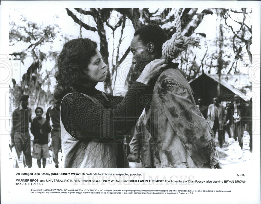 1988 Press Photo Sigourney Weaver Stars As Dian Fossey &quot;Gorillas In The Mist&quot; - Historic Images