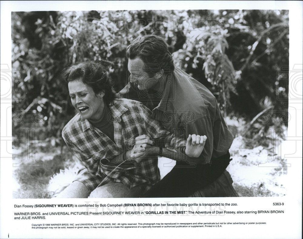 1988 Press Photo Sigourney Weaver &amp; Brian Brown Star In Gorillas In The Mist - Historic Images