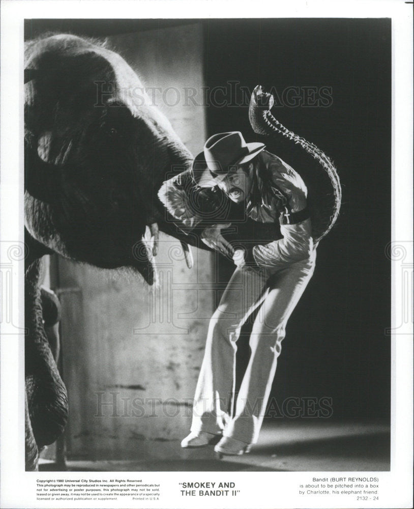1980 Press Photo Burt Reynolds Actor Elephant Scene Smokey Bandit II Comedy Film - Historic Images