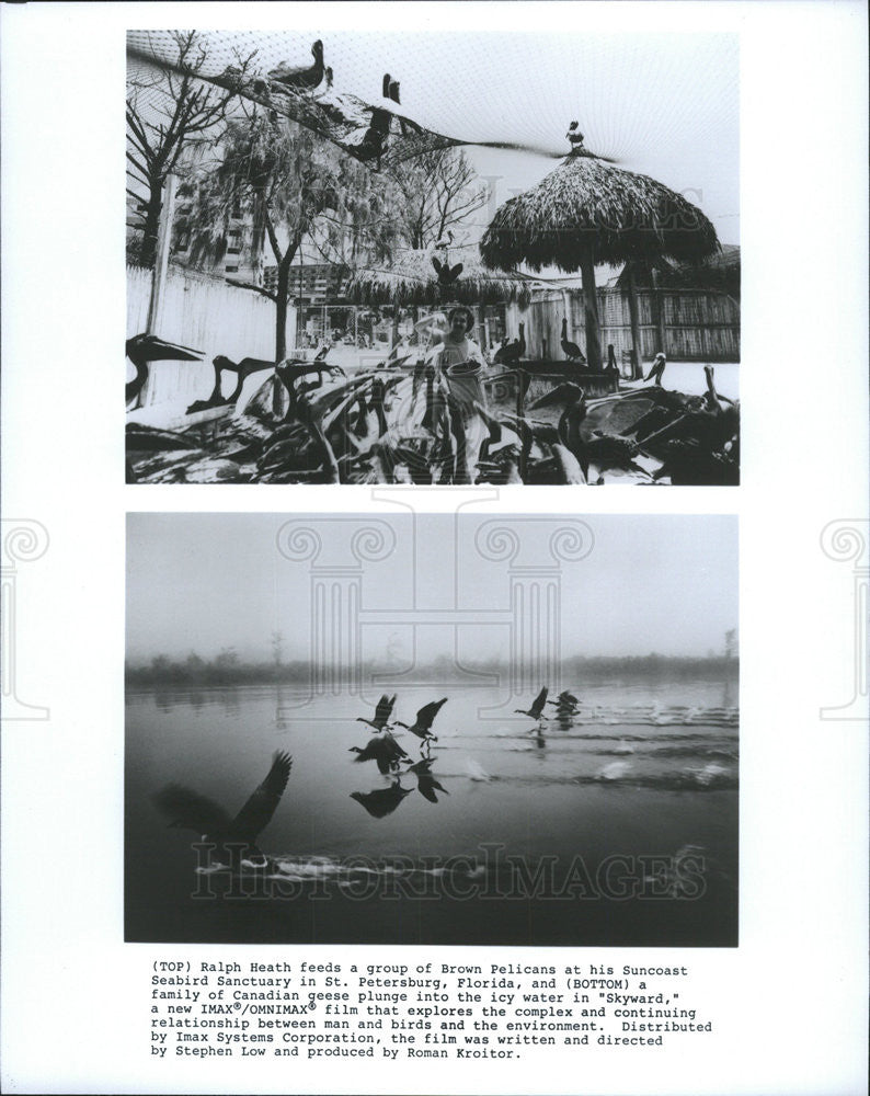 1980 Press Photo Ralph Heath Actor Canadian Geese Ron Howard&#39;s Skyward IMAX - Historic Images