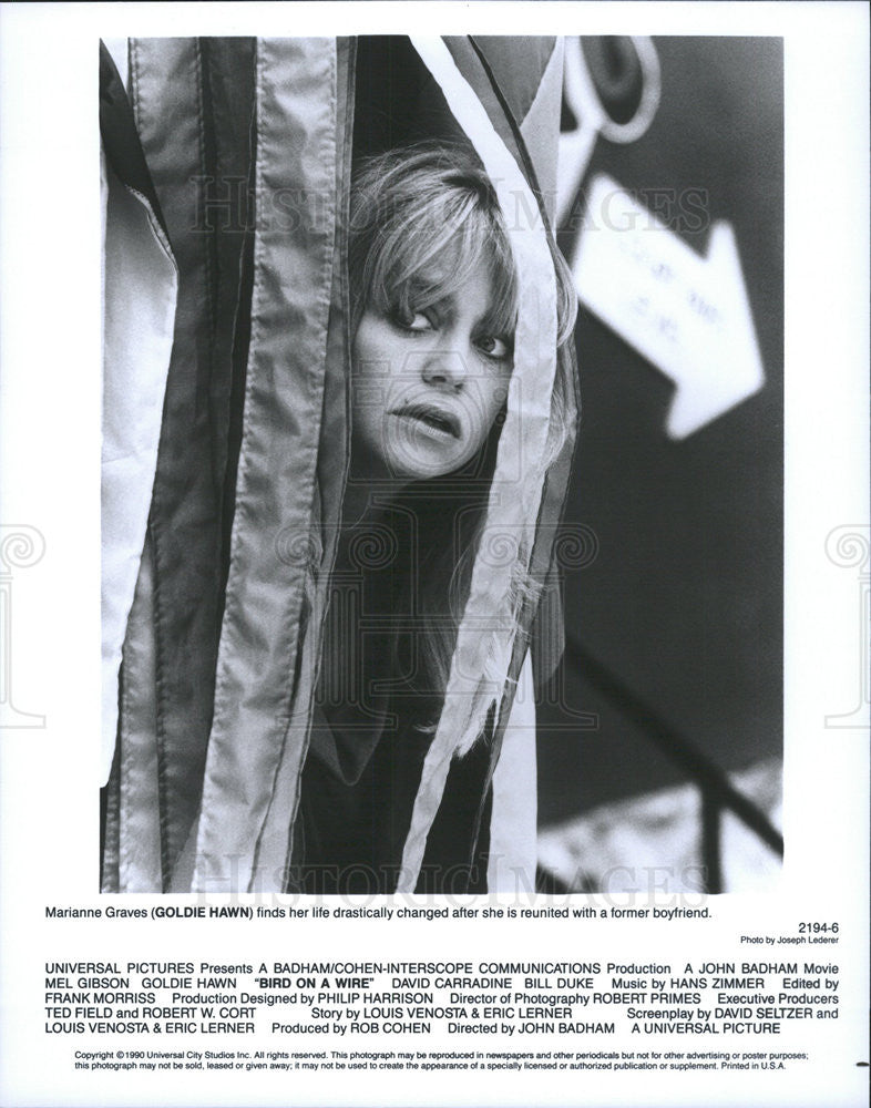 1990 Press Photo Goldie Hawn Stars As Marianne Graves In Bird On A Wire - Historic Images