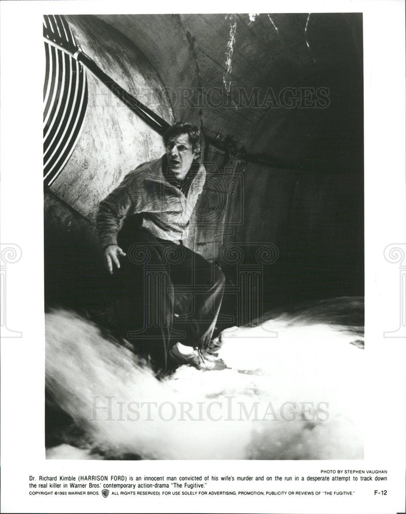 1993 Press Photo The Fugitive Harrison Ford - Historic Images