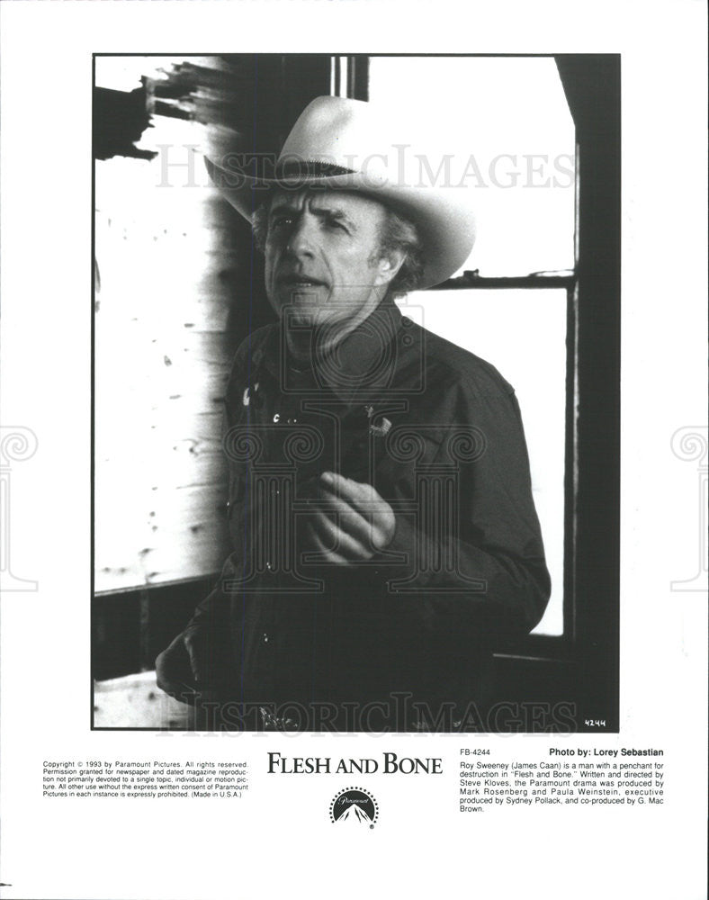 1993 Press Photo James Caan Flesh And Bone - Historic Images