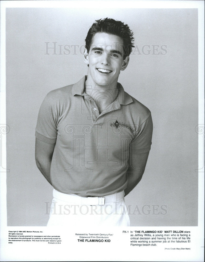 1984 Press Photo Matt Dillon The Flamingo Kid - Historic Images