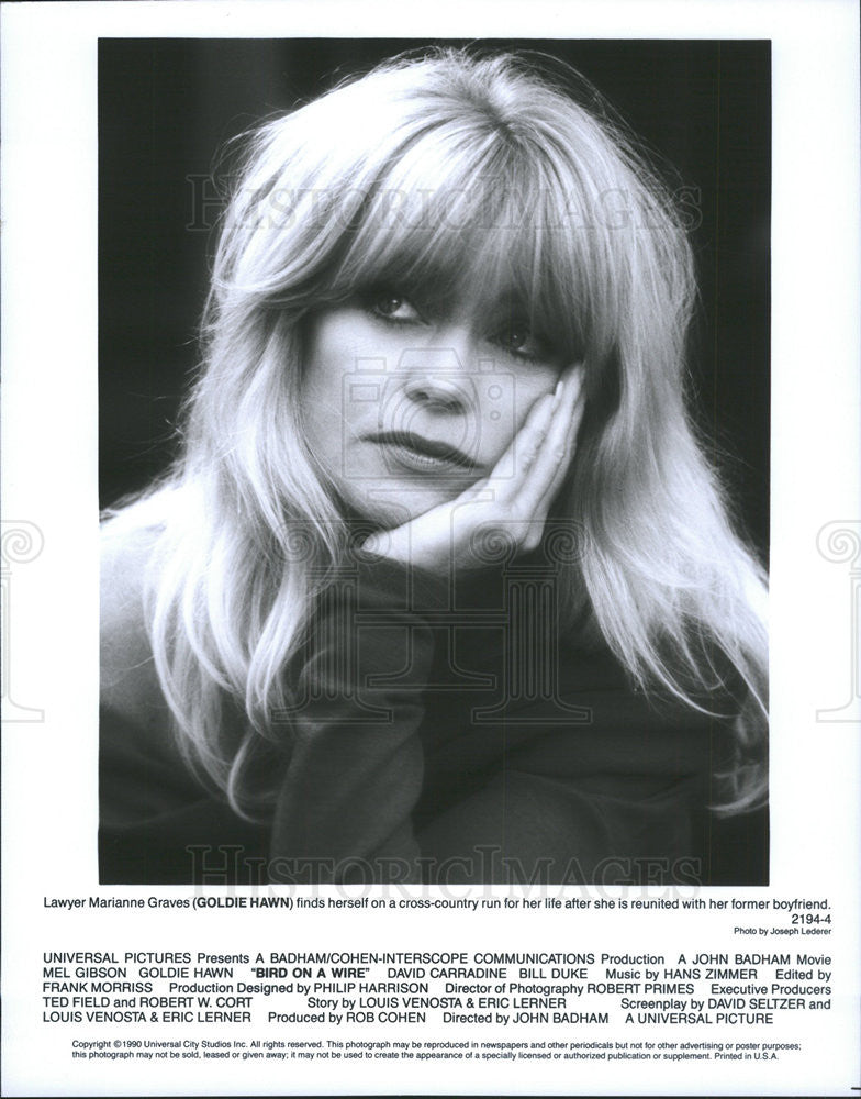 1990 Press Photo Goldie Hawn in &quot;Bird on a Wire&quot; - Historic Images