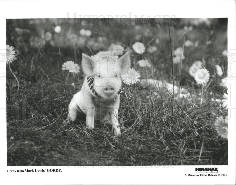 1995 Press Photo Gordy Mark Lewis - Historic Images