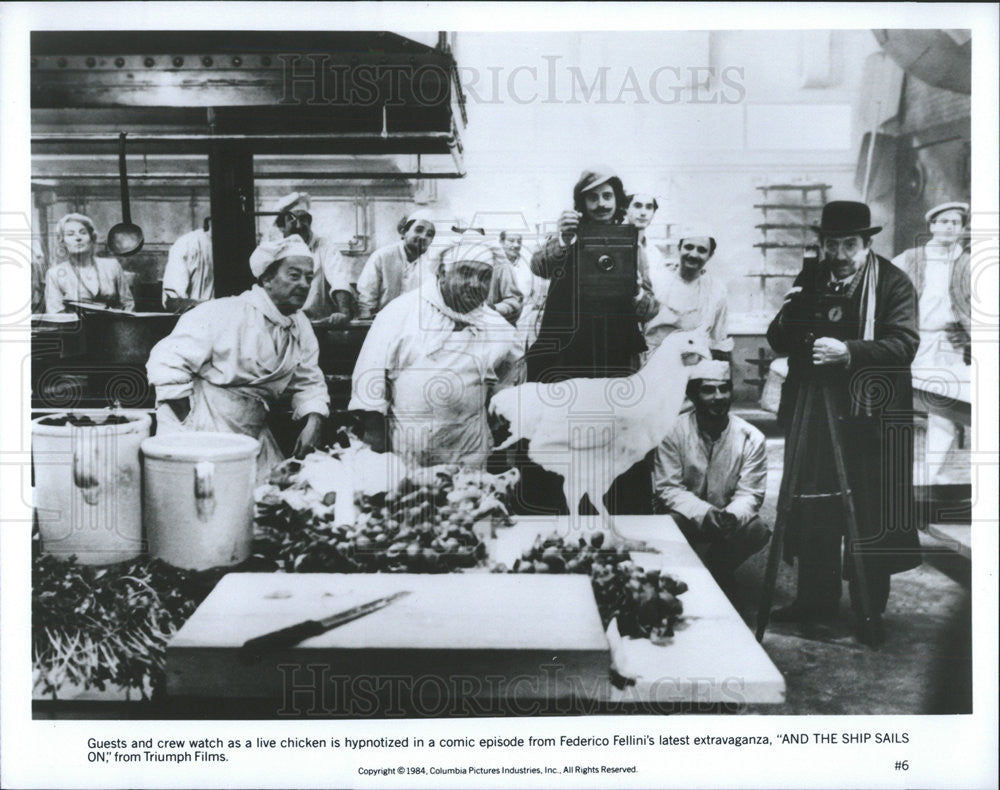 1984 Press Photo Crew watch chicken hypnotized in film &quot;And the Ship Sails On&quot; - Historic Images