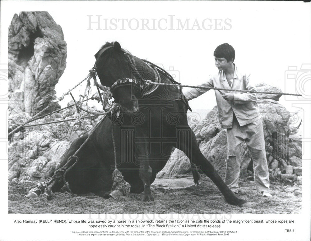 1979 Press Photo Kelly Reno stars in The Black stallion - Historic Images