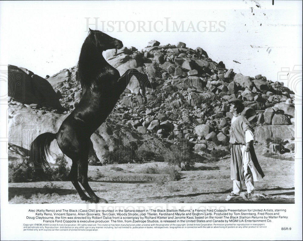 Press Photo The black Stallion kelly reno - Historic Images