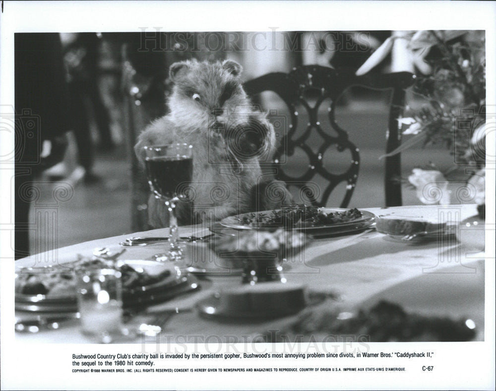 1988 Press Photo Movie &quot;Caddyshack II&quot; - Historic Images