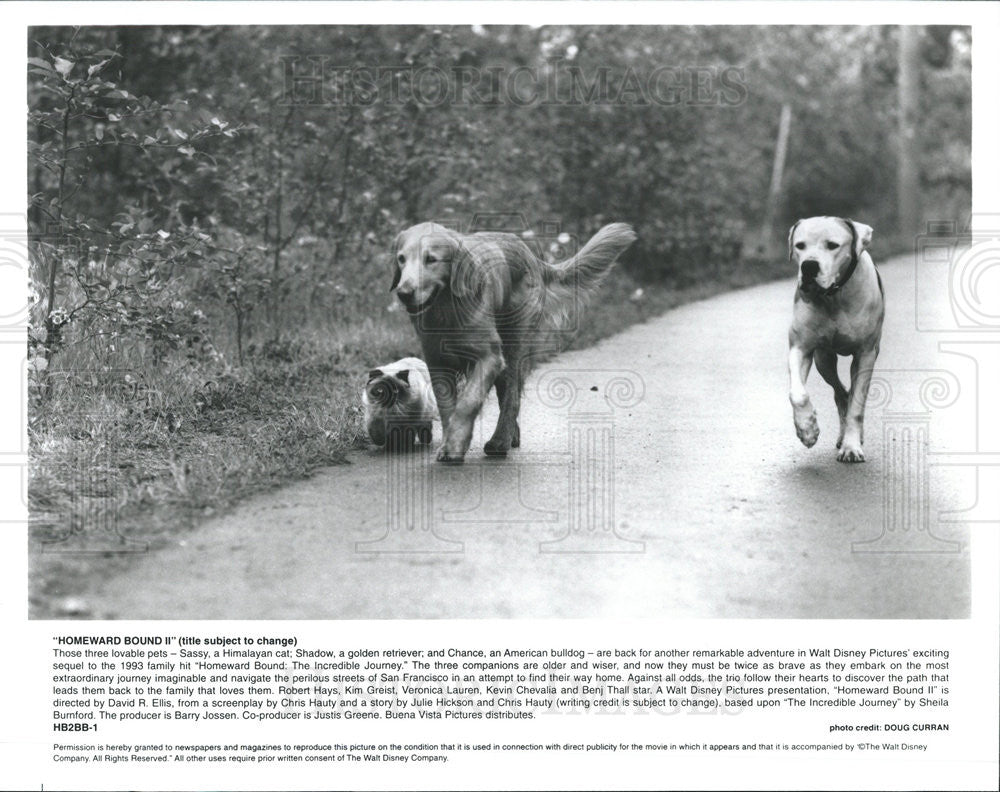 Press Photo Homeward Bound II (Disney) - Historic Images