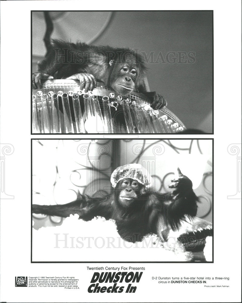 1995 Press Photo Dunston the Monkey in &quot;Dunston Checks In&quot; - Historic Images