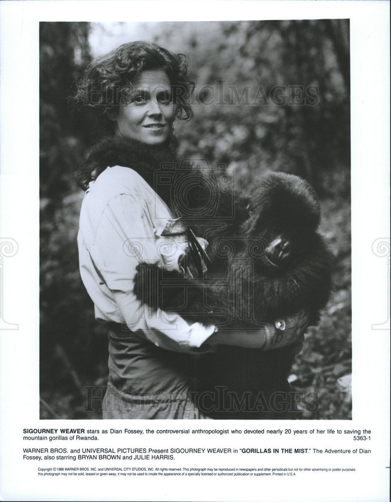 1988 Press Photo Sigourney Weaver in "Gorillas in the Mist" - Historic Images